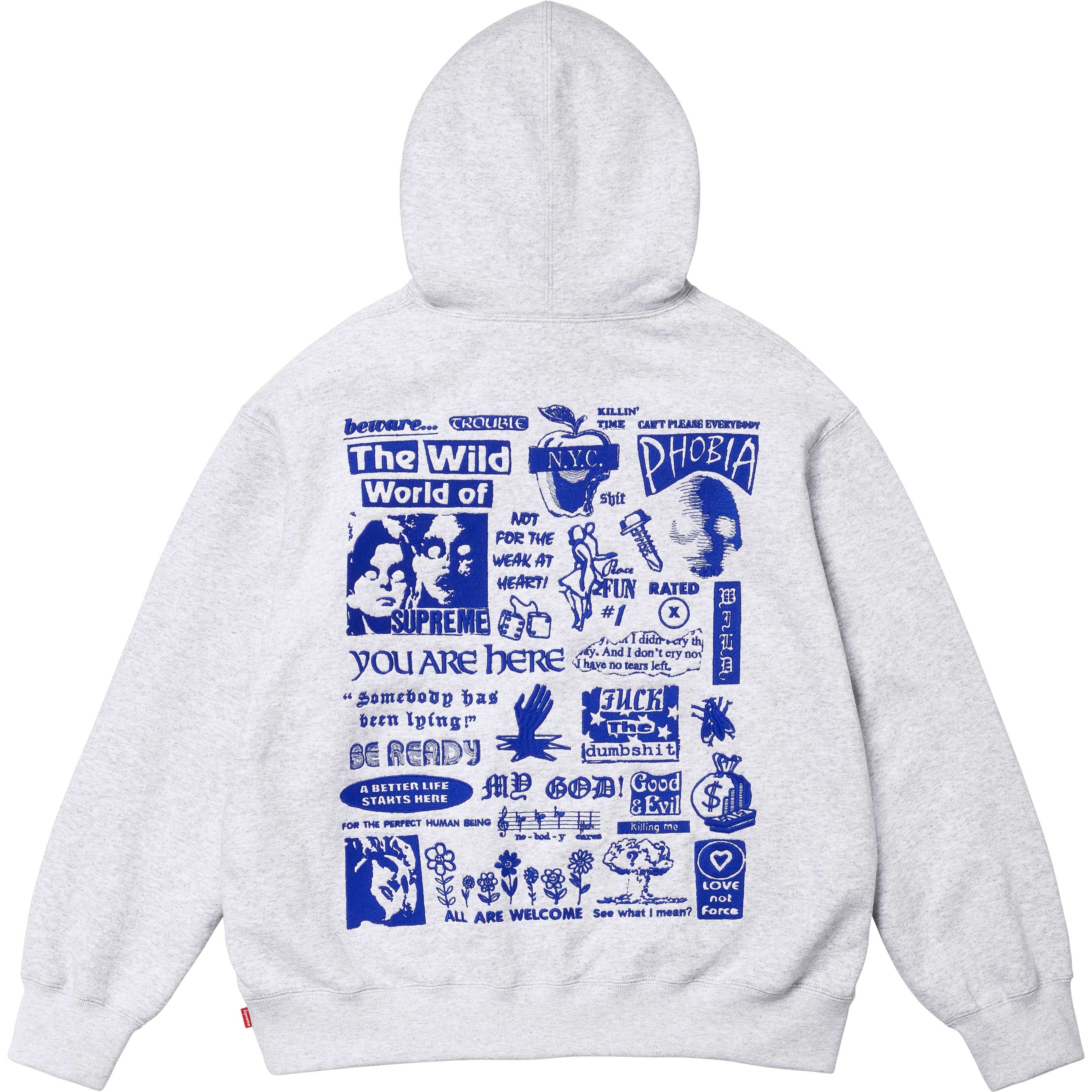 Wild Embroidered Hooded Sweatshirt view 11
